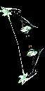 Albatross Bow +3
